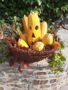 サン・セヴェリーノ・マルケにあるAgriturismo L'Antico Olivetoのギャラリーの写真