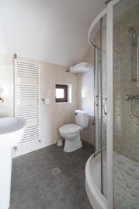 La salle de bains est pourvue de toilettes, d'un lavabo et d'une douche. dans l'établissement Pensiunea Encian, à Colibiţa