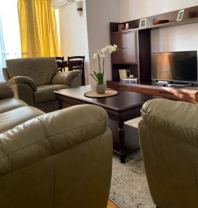 a living room with two couches and a television at MV Central Apartment & Garage - Self Check-in in Timişoara