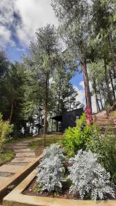 a garden with some white flowers and trees at Tiny Houses Premium - Casa Barcelona in Duitama