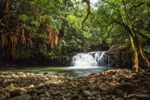 een waterval midden in een bos bij Maui Vista Condo 2410 in Kihei