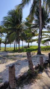 卡貝德盧的住宿－Casa de Praia Areia Vermelha，沙滩上的棕榈树
