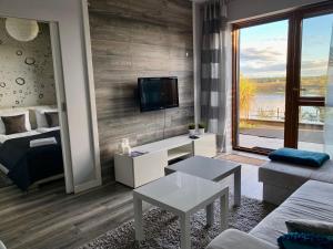 Televízia a/alebo spoločenská miestnosť v ubytovaní Apartament Winnica