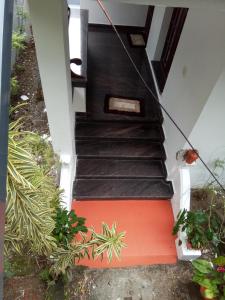 uma escada que leva a uma casa com plantas em Coconut Grove em Cochin
