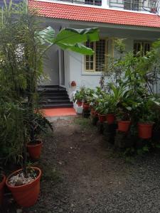 eine Reihe von Topfpflanzen vor einem Haus in der Unterkunft Coconut Grove in Kochi