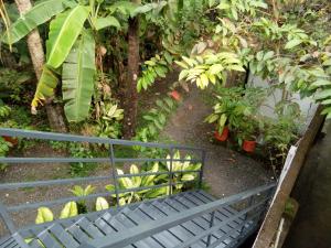 un banco en un jardín con árboles y plátanos en Coconut Grove, en Kochi