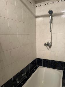 a bathroom with a tub and a shower at Bel appartement avec vue sur parc - Tour Japonaise in Brussels
