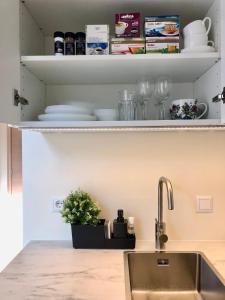 a kitchen with a sink and a shelf with dishes at Lovely Aisa apartment in Pärnu in Pärnu