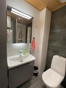 a bathroom with a white toilet and a sink at The Wildflower Apartment in Turku