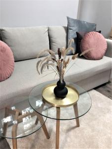 Fotografia z galérie ubytovania Magnolia Apartman v destinácii Sopron