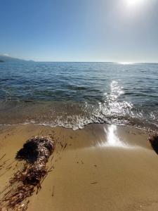 a view of the beach with the water at Arcamyrtus in Alghero