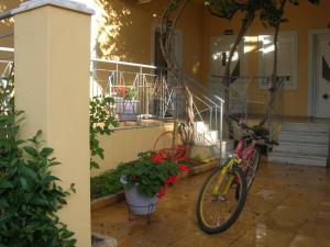 Ποδηλασία στο Giorgos Apartments ή στη γύρω περιοχή