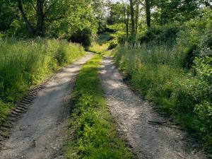 Gallery image of Tentrr - Meadow Ridge Farm Woods in Litchfield