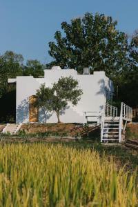 une maison blanche dans un champ avec un arbre dans l'établissement Baanfanglamoon, 