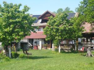 a house with trees and chairs in the yard at Agro-pensiunea "Plaiul Castanilor" in Tismana