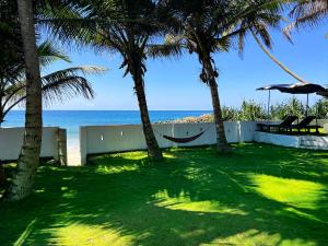 a hammock between two palm trees on the beach at Villa One64 Beach Front - Apartments in Hikkaduwa