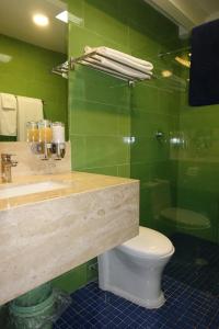 een groene badkamer met een wastafel en een toilet bij Terra Vista in Guanajuato