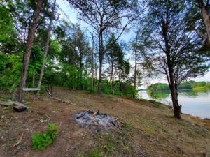 a group of trees and a body of water at Tentrr Signature Site - Hunkerdown Hollow in Sevierville