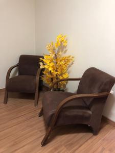 a living room with two chairs and a plant at Pousada HD in Nova Friburgo