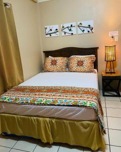 a bedroom with a bed in a room at City Garden Apartment in Belize City