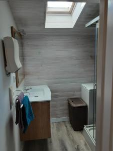 La salle de bains est pourvue d'un lavabo, de toilettes et d'une lucarne. dans l'établissement Coquet T2 avec parking, à Prigonrieux