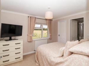 Schlafzimmer mit einem Bett, einem TV und einem Fenster in der Unterkunft 12 Bucklesham Park in Ipswich