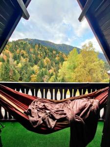 a hammock on a porch with a view of a forest at Logement 6 pers au cœur des montagnes pyrénéennes in Boutx