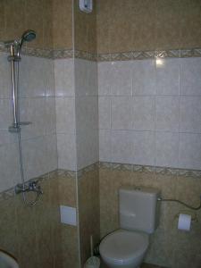 a bathroom with a toilet and a shower at Sianie Guest House in Ravda +44 photos