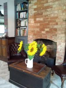 a living room with a fireplace and a vase with sunflowers on at Holly Tree B&B in Bromyard