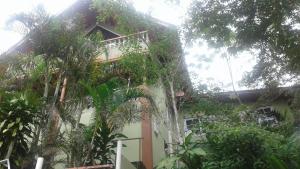 塞魯阿蘇爾的住宿－Casa Grande Retiro para grupos，前面有树木的建筑