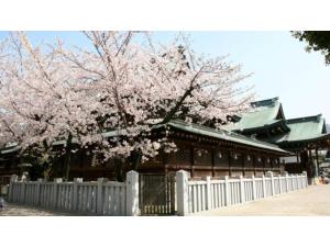 a building with a fence and a tree with pink flowers at Eins,Inn Umeda Higashi - Vacation STAY 30001v in Osaka