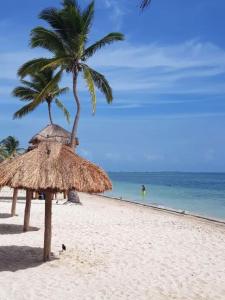 a beach with two palm trees and a straw umbrella at Casa Monik, a dos pasos de la Playa in Cancún