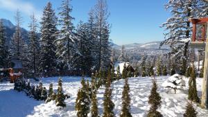 Panorama Tatr Apartament Widokowy z tarasem v zime