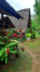 a garden with red flowers in front of a building at Travis Post Homestay in Siquijor