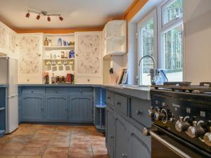 a large kitchen with blue cabinets and a stove at Ashgrove Cottage in Dudbridge