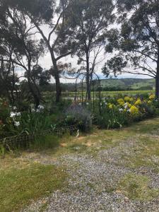 a garden with flowers and trees in a field at Bethany Cottages in Bethany