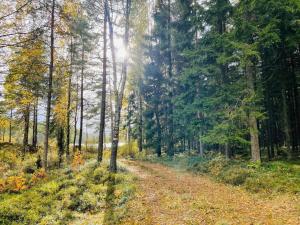 Fotografie z fotogalerie ubytování Holiday home Gällstad II v destinaci Gällstad