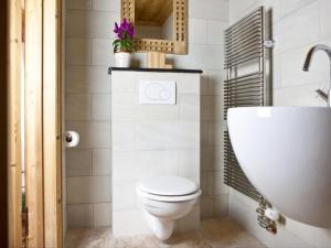 uma casa de banho com um WC e um lavatório em Appartement Argentière, 4 pièces, 6 personnes - FR-1-343-192 em Chamonix-Mont-Blanc