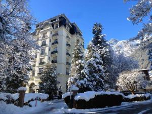un bâtiment avec des arbres enneigés devant lui dans l'établissement Appartement Chamonix-Mont-Blanc, 2 pièces, 4 personnes - FR-1-343-209, à Chamonix-Mont-Blanc