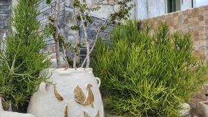 Κήπος έξω από το One Private Studio with stunning full sea view, shared pool and Ac