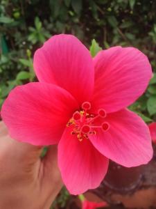 纳加奥恩Enliven Homestay Alibag, Alibaug的相册照片