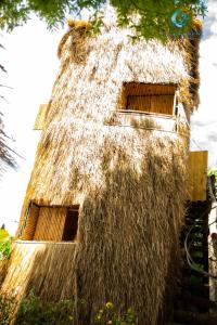 un bâtiment avec toit de chaume et gazon dans l'établissement Lang's Pá Mé - Homestay - Bungalow - Camping Krông Pắk, Buôn Mê Thuột, Đắk Lắk, Việt Nam, à Dak Lak