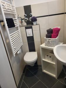 een badkamer met een toilet en een wastafel bij Gästewohnung 1 in Oschersleben