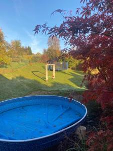 una bañera azul en un patio con un gol en Roubenka Doubravice, en Hrubá Skála