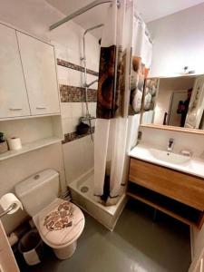 ein kleines Bad mit WC und Waschbecken in der Unterkunft Appartement de 32m² au cœur de la Joue du Loup in Le Dévoluy
