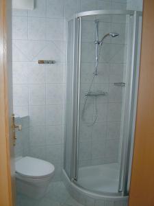 a bathroom with a shower and a toilet at Haus Bauer Appartment II mit Balkon in Mariapfarr