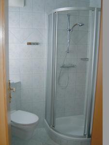 łazienka z prysznicem i toaletą w obiekcie Haus Bauer Appartment II mit Balkon w mieście Mariapfarr