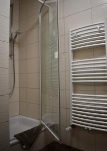 um chuveiro com uma porta de vidro na casa de banho em Kontorhaus Senftenberg em Senftenberg