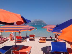 eine Gruppe von Sonnenschirmen und Stühlen am Strand in der Unterkunft Hotel Daniel in Murta Maria
