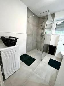 uma casa de banho com um chuveiro e um lavatório. em AB Apartment Moderne Zweizimmerwohnung em Villach